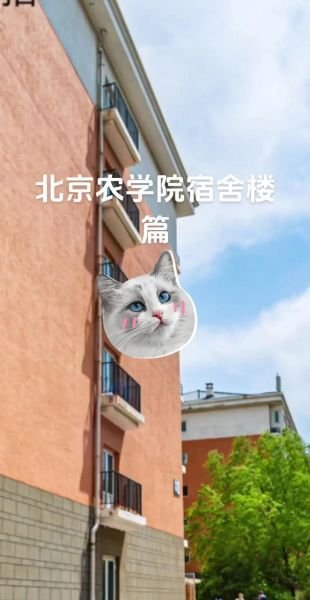 北京农学院宿舍怎么样_北京农学院宿舍条件如何-第3张图片-俊逸知识馆 北京农学院宿舍怎么样_北京农学院宿舍条件如何-第3张图片-俊逸知识馆