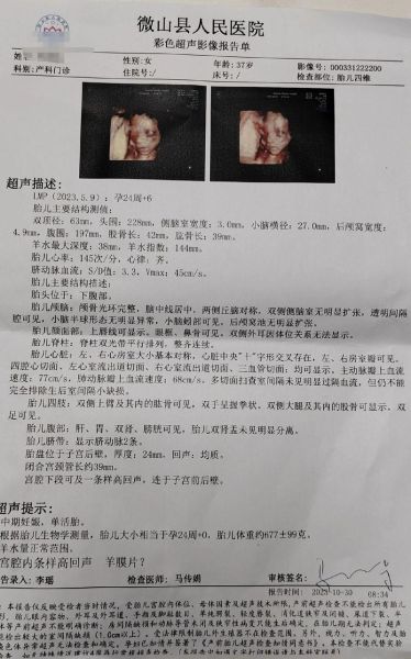 四维图新怎么样_四维图新值得投资吗-第2张图片-俊逸知识馆