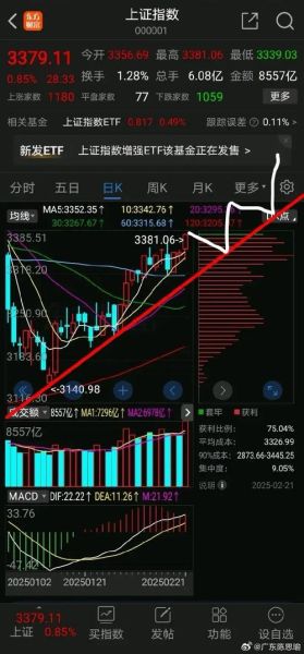 中国中期股票怎么样_中国中期股票未来走势分析-第2张图片-俊逸知识馆