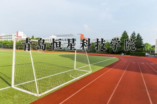 恒星科技股票值得买吗_恒星科技未来前景如何-第3张图片-俊逸知识馆