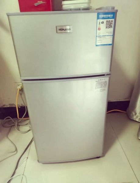 日普冰箱怎么样_日普冰箱质量好吗-第3张图片-俊逸知识馆