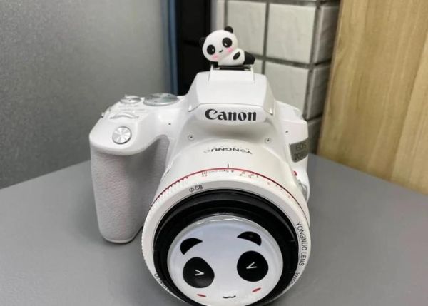 佳能200d二代怎么样_值得入手吗-第3张图片-俊逸知识馆