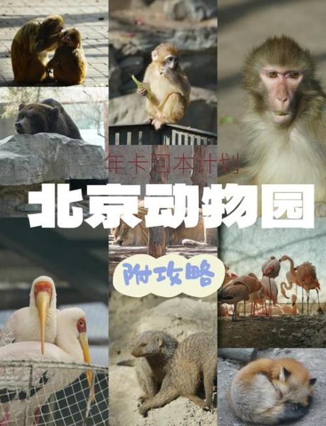 北京动物园门票多少钱一张_2024最新价格-第1张图片-俊逸知识馆