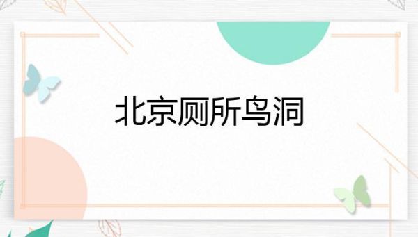 北京鸟洞在哪里_北京鸟洞怎么去-第3张图片-俊逸知识馆