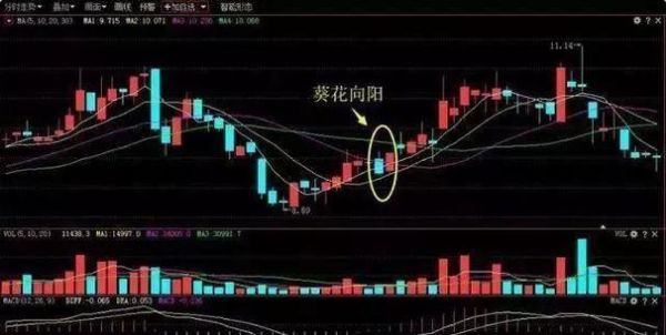 向日葵股票行情_今日走势分析-第2张图片-俊逸知识馆