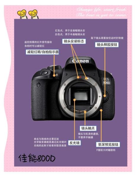 佳能800d值得买吗_佳能800d参数详解-第1张图片-俊逸知识馆