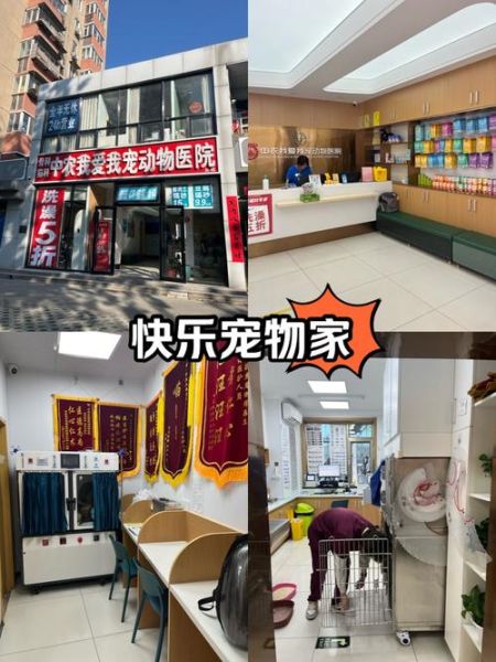 北京观赏动物医院哪家好_价格贵不贵-第1张图片-俊逸知识馆 北京观赏动物医院哪家好_价格贵不贵-第1张图片-俊逸知识馆