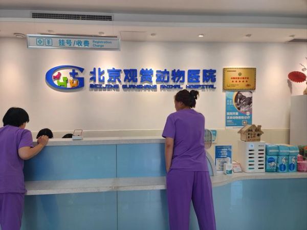 北京观赏动物医院哪家好_价格贵不贵-第2张图片-俊逸知识馆 北京观赏动物医院哪家好_价格贵不贵-第2张图片-俊逸知识馆