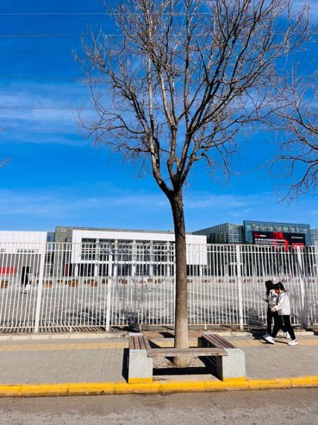 北京顺义区邮编是多少_顺义区各街道邮编查询-第3张图片-俊逸知识馆