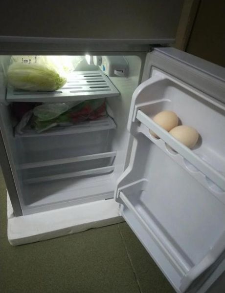 冰熊冰箱质量怎么样_冰熊冰箱值得买吗-第2张图片-俊逸知识馆