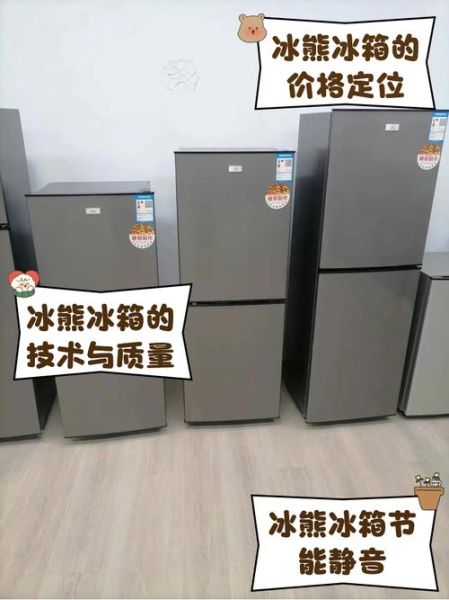 冰熊冰箱质量怎么样_冰熊冰箱值得买吗-第1张图片-俊逸知识馆