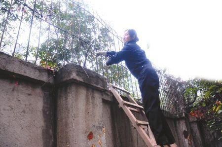 怎么样翻墙_翻墙违法吗-第1张图片-俊逸知识馆 怎么样翻墙_翻墙违法吗-第1张图片-俊逸知识馆