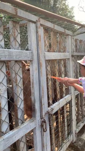 北京意大利农场门票价格_亲子游值得去吗-第3张图片-俊逸知识馆