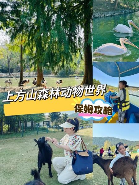 北京上方山怎么去_上方山国家森林公园门票价格-第3张图片-俊逸知识馆