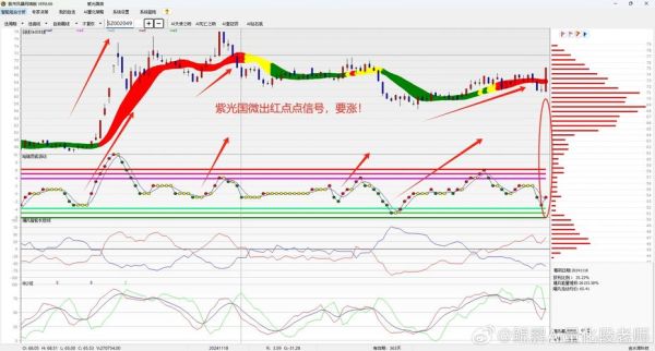 002049股票值得买吗_紫光国微未来走势-第1张图片-俊逸知识馆
