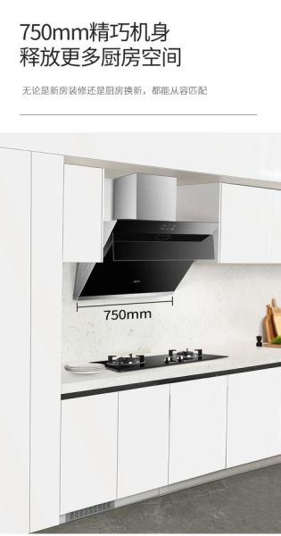 帅康抽油烟机怎么样_帅康油烟机哪款好用-第2张图片-俊逸知识馆 帅康抽油烟机怎么样_帅康油烟机哪款好用-第2张图片-俊逸知识馆