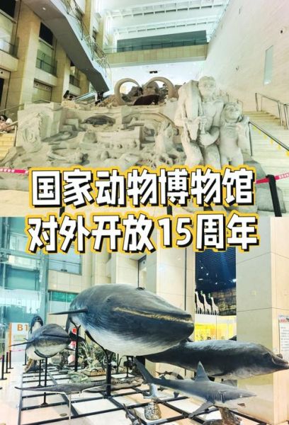 北京动物博物馆门票价格_开放时间-第2张图片-俊逸知识馆