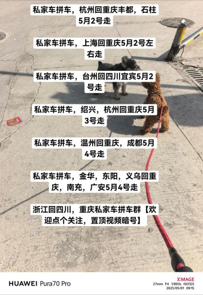 怎么样拼车_拼车安全吗-第1张图片-俊逸知识馆