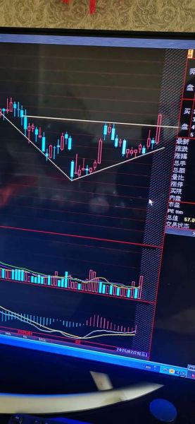 002386股票怎么样_002386未来走势预测-第3张图片-俊逸知识馆