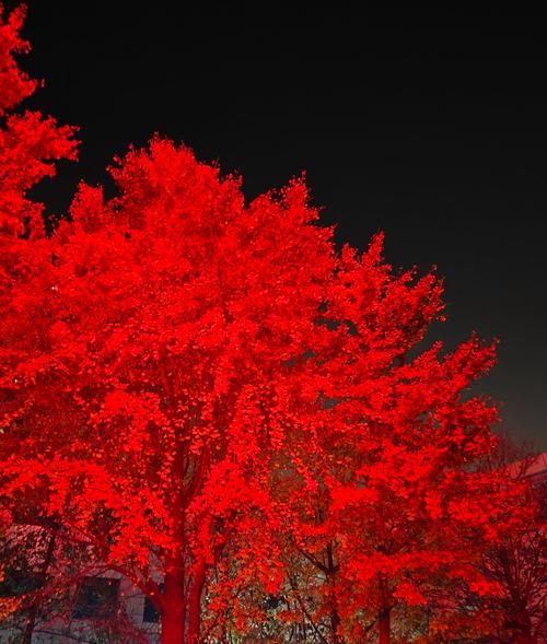 北京深秋的晚上穿什么_北京深秋夜游路线推荐-第2张图片-俊逸知识馆