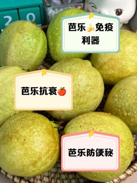 乐果怎么样_乐果毒性大吗-第1张图片-俊逸知识馆