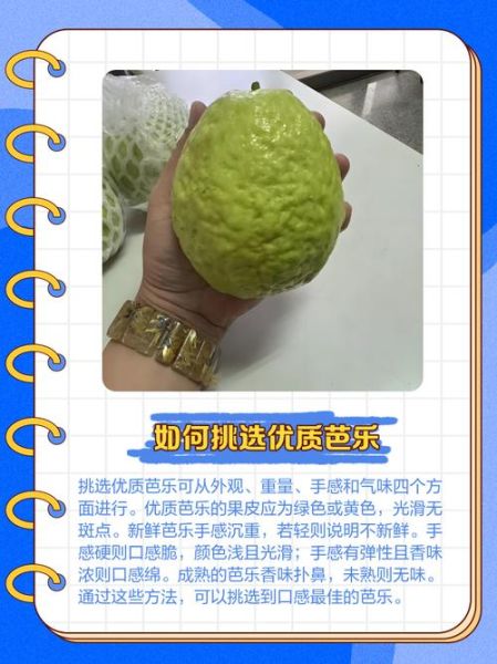 乐果怎么样_乐果毒性大吗-第3张图片-俊逸知识馆