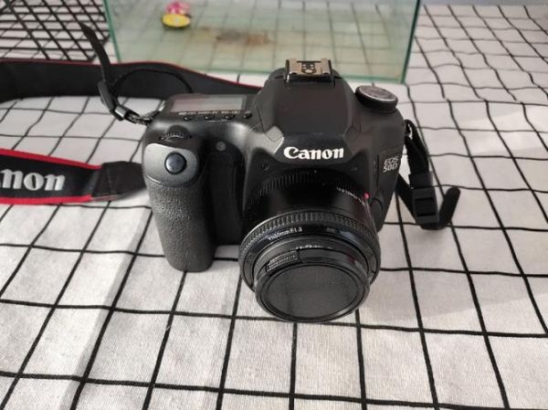 佳能50d怎么样_佳能50d值得买吗-第2张图片-俊逸知识馆 佳能50d怎么样_佳能50d值得买吗-第2张图片-俊逸知识馆