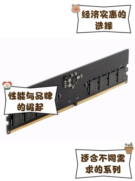 亚洲龙内存条怎么样_值得买吗-第1张图片-俊逸知识馆