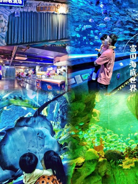 北京工体富国海底世界门票价格_值得去吗-第3张图片-俊逸知识馆