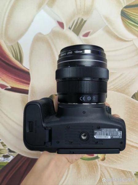 佳能77d怎么样_佳能77d值得买吗-第2张图片-俊逸知识馆