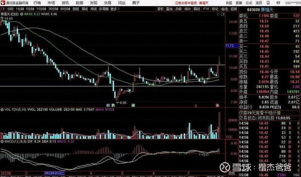 赛福天股票怎么样_赛福天股票未来走势分析-第1张图片-俊逸知识馆