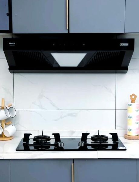 林内油烟机怎么样_林内油烟机质量好吗-第2张图片-俊逸知识馆