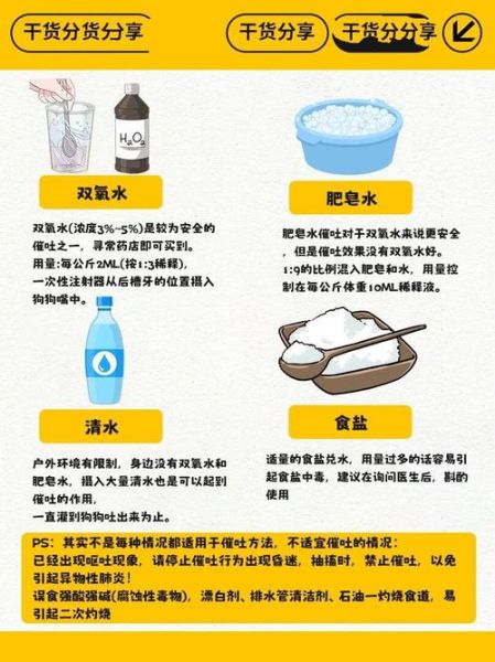 怎么样才能吐_催吐最快最有效的方法-第1张图片-俊逸知识馆