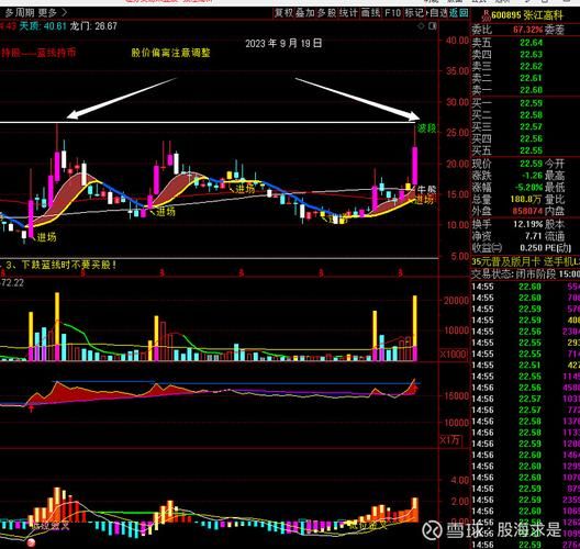 张江高科股票值得买吗_张江高科未来走势如何-第1张图片-俊逸知识馆