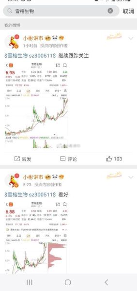 300511股价走势分析_雪榕生物值得长期持有吗-第1张图片-俊逸知识馆