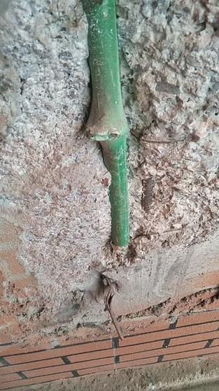 公牛水管怎么样_公牛水管质量好吗-第2张图片-俊逸知识馆 公牛水管怎么样_公牛水管质量好吗-第2张图片-俊逸知识馆