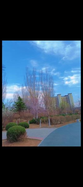 北京朝阳区今天穿什么_朝阳区实时天气如何-第2张图片-俊逸知识馆