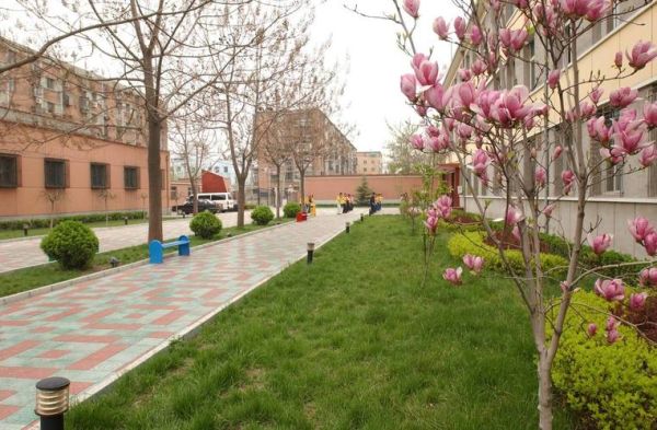 北京光明小学怎么样_北京光明小学招生条件-第2张图片-俊逸知识馆