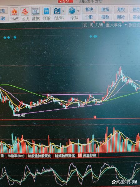 三安光电股票走势分析_三安光电值得长期持有吗-第2张图片-俊逸知识馆