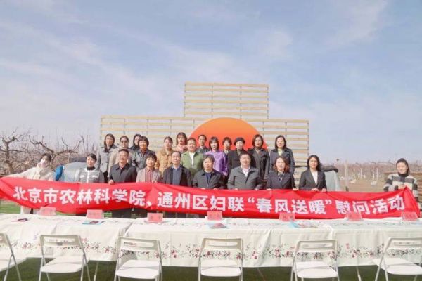 北京市妇联是做什么的_如何联系北京市妇联-第3张图片-俊逸知识馆