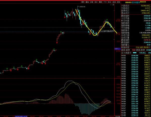300开头股票是什么_如何区分300与688-第2张图片-俊逸知识馆