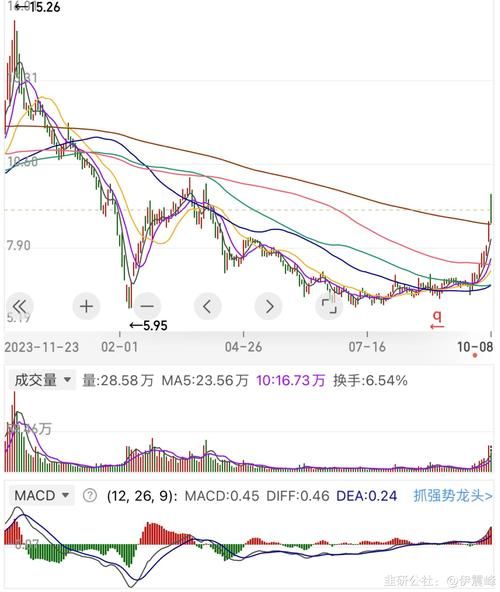 大恒科技股票怎么样_大恒科技值得投资吗-第3张图片-俊逸知识馆