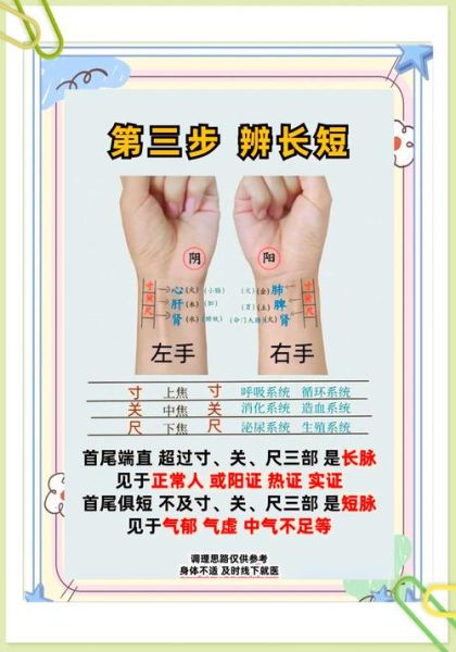 怎么样把脉_把脉的正确手法-第3张图片-俊逸知识馆 怎么样把脉_把脉的正确手法-第3张图片-俊逸知识馆