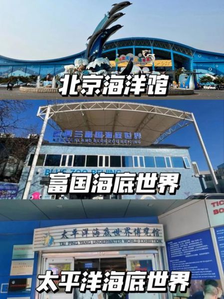 北京三个海洋馆哪个好_北京海洋馆推荐-第1张图片-俊逸知识馆