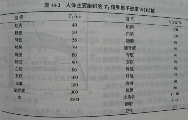 T2怎么样_T2值正常范围是多少-第1张图片-俊逸知识馆 T2怎么样_T2值正常范围是多少-第1张图片-俊逸知识馆