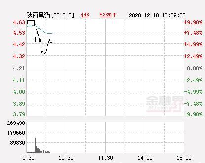 陕西黑猫股票行情_陕西黑猫未来走势如何-第1张图片-俊逸知识馆 陕西黑猫股票行情_陕西黑猫未来走势如何-第1张图片-俊逸知识馆