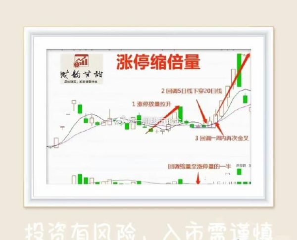 300111股票今日行情_向日葵股价走势怎么看-第2张图片-俊逸知识馆