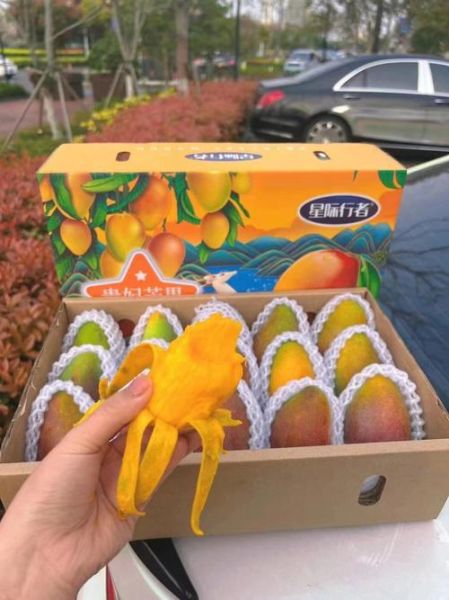 芒果网怎么样_芒果网旅游靠谱吗-第2张图片-俊逸知识馆 芒果网怎么样_芒果网旅游靠谱吗-第2张图片-俊逸知识馆