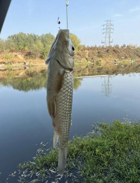 北京垂钓好去处_北京野钓地点推荐-第1张图片-俊逸知识馆 北京垂钓好去处_北京野钓地点推荐-第1张图片-俊逸知识馆