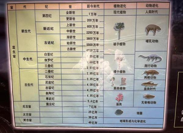 北京自然博物馆门票多少钱_开放时间-第2张图片-俊逸知识馆 北京自然博物馆门票多少钱_开放时间-第2张图片-俊逸知识馆